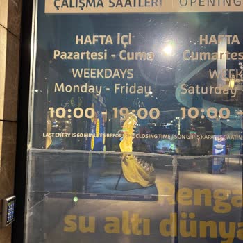 Ziyaret Keyfini Kaçıran Kısıtlı Süre