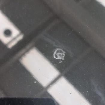 Opel Refused to Address Paint Peeling on My 2022 Model Caused by Bird Droppings