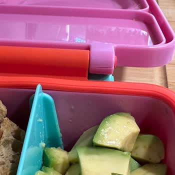 Dinossi Omie Lunch Box: Kısa Sürede Hayal Kırıklığı