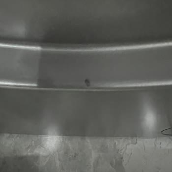 Bosch Çamaşır Makinesi Boya Sorunu Ve Servis Problemi