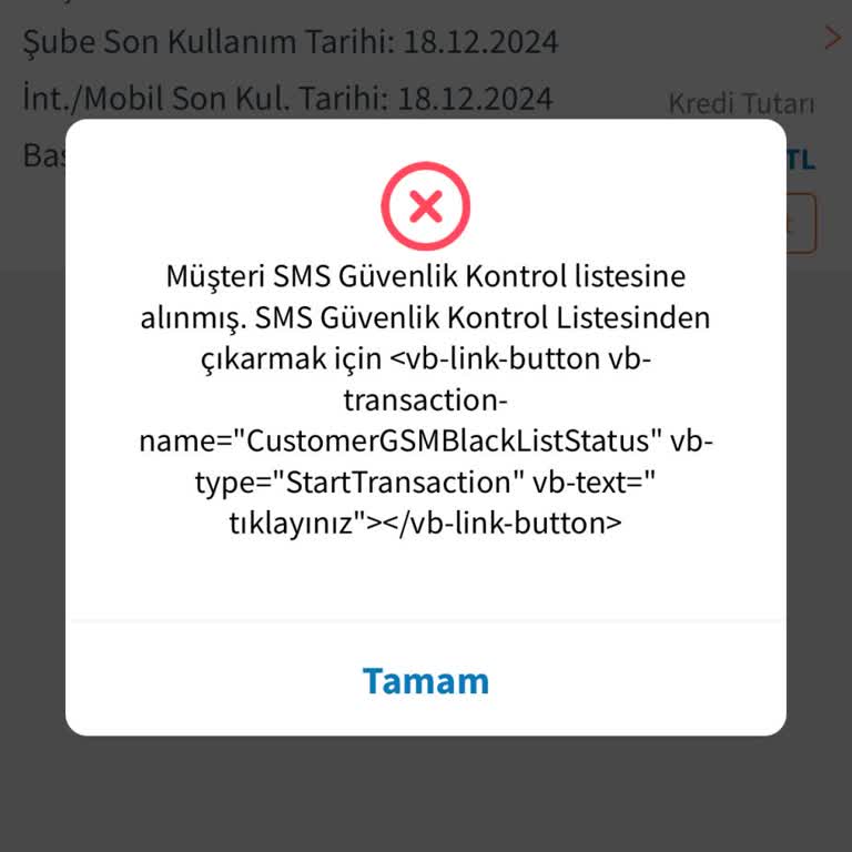 Halkbank Kredi Onayı Verildi Ama Para Çekilemiyor