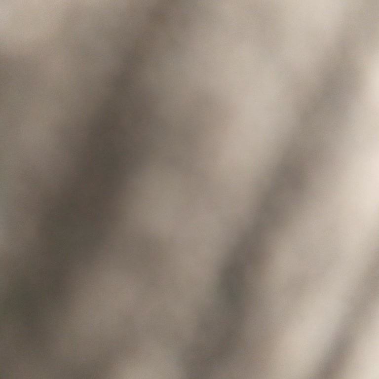 Kirli Ürün Ve Çözümsüz Müşteri Hizmetleri Deneyimi