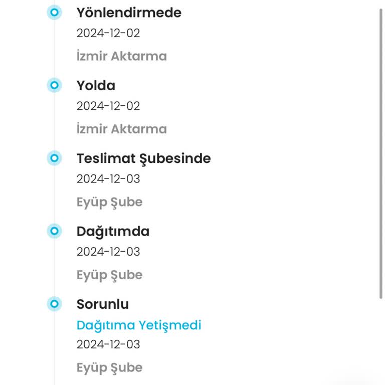Kargomun Dağıtım Sorunu Ve Müşteri Hizmetleri Eksikliği