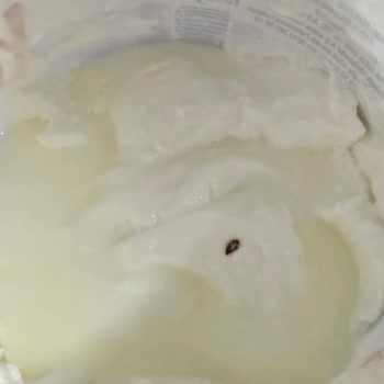 Yoğurttan Çıkan Böcek Şoku