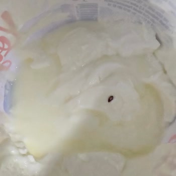 Yoğurttan Çıkan Böcek Şoku