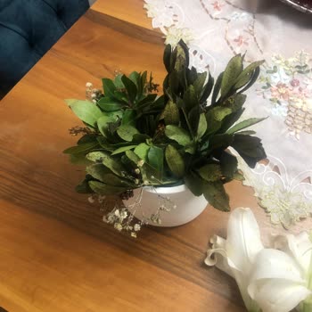 Getir Çarşı'da Çiçek Siparişi Hayal Kırıklığı