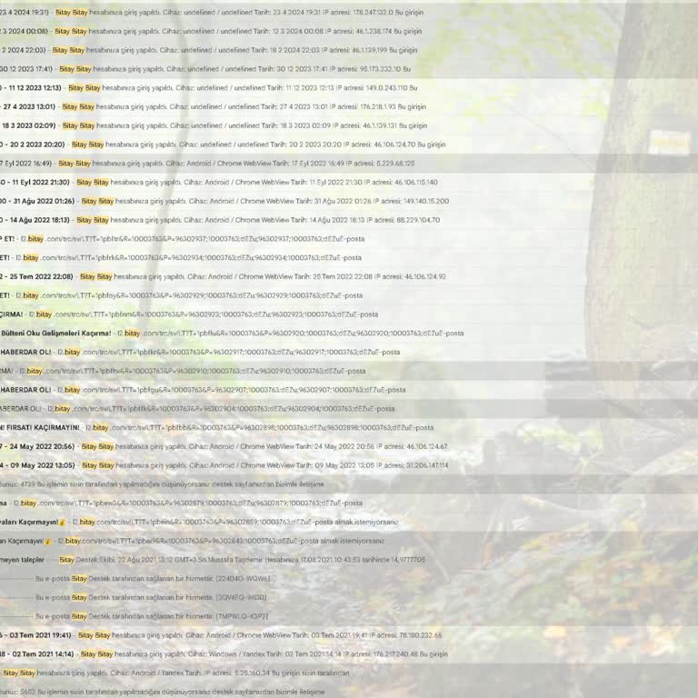 Üyeliğim Silindi, İletişim Kurulamıyor