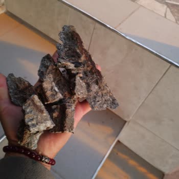 SEDAŞ'ın İhmalkarlığı: Hayati Tehlike Yaratan Direk Sorunu