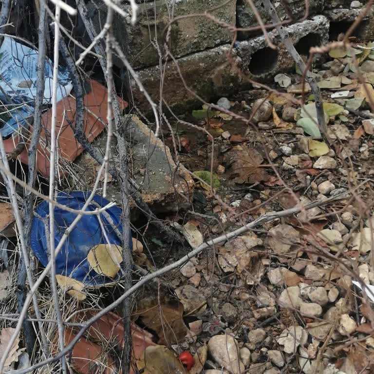 Mahalledeki Foseptik Sorunları ve Sağlık Tehlikeleri