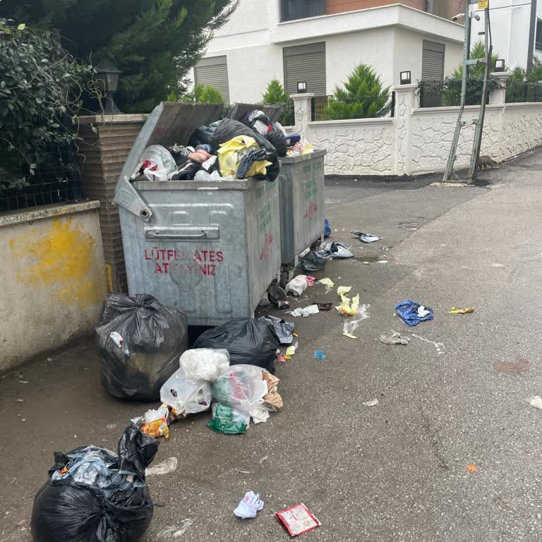 Mahallemizde Çöp Konteyneri Eksikliği