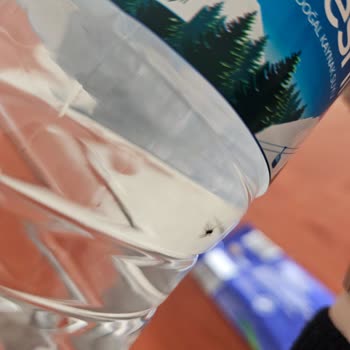 Desni Su Şişesinde Örümcek Şoku!