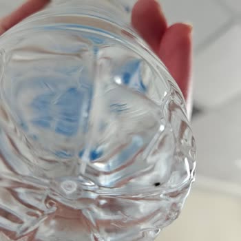 Desni Su Şişesinde Örümcek Şoku!