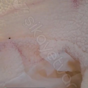 Saklı Butik Defolu Ürün Gönderip İadesini Almıyorlar!