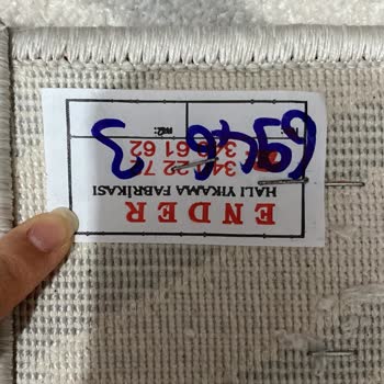 Eskişehir Ender Halı Yıkama: Islak Ve Küflü Halı Sorunu