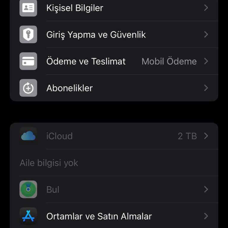 İcloud Güncelleme Sonrası Erişim Sorunu