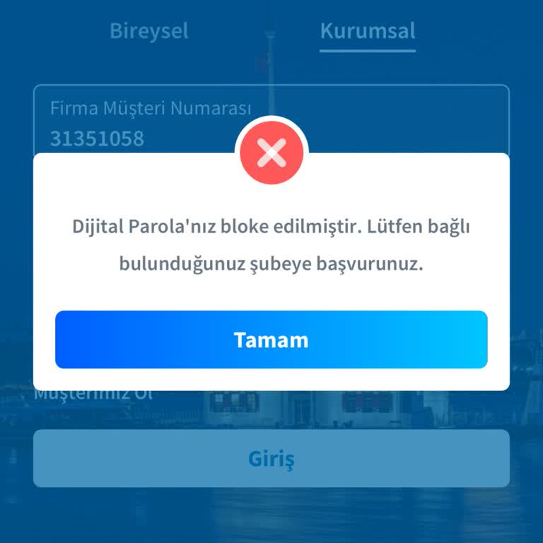 Halkbank Bayburt Şubesi'nde Parola Blokesi Sorunu