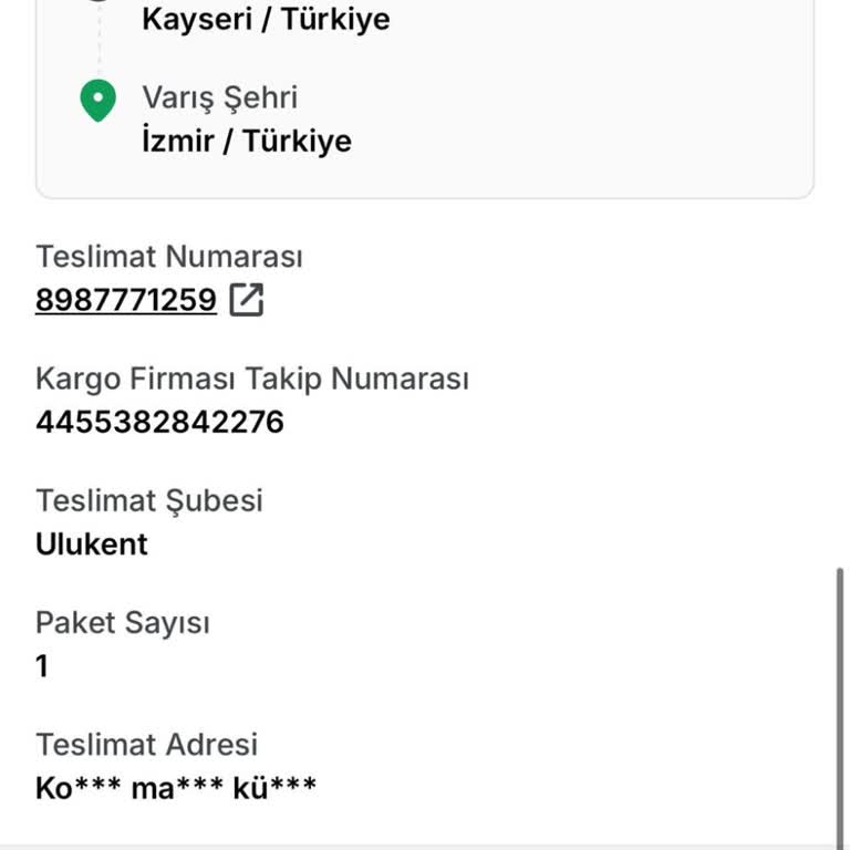 Aras Kargo'nun Teslimat Sorunları Ve Çözüm Arayışım
