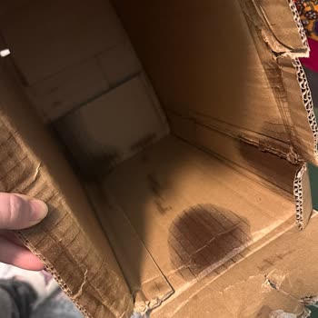 Kargoda Hasar Gören Zeytinyağı Ve Sorumluluk Sorunu
