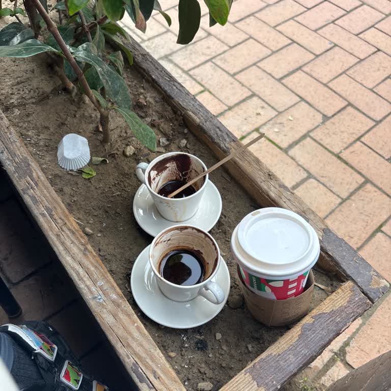 Mavibahçe Starbucks'ta Kaba Çalışanlar Ve Kötü Hizmet