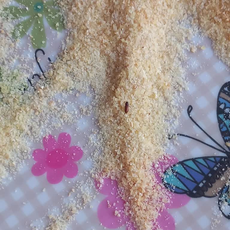 Karmer İrmik Ürününde Böcek Şoku: Hijyen Endişeleri