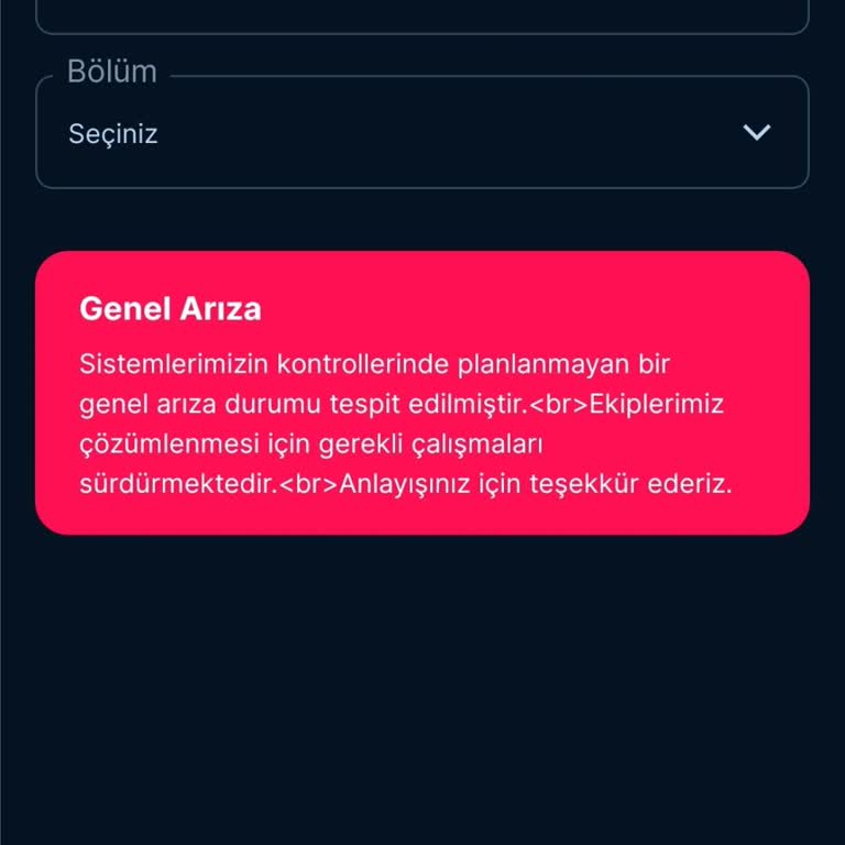 İnternet Hızı Ve Ping Sorunu, Destek Alamama