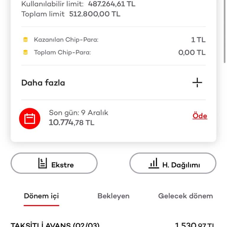 Kredi Kartı Ekstre Ve Borç Sorunu