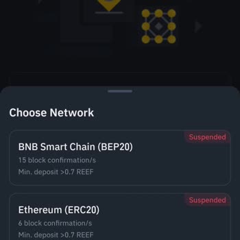 Reef Coin Aktarım Sorunu Ve Destek Yetersizliği