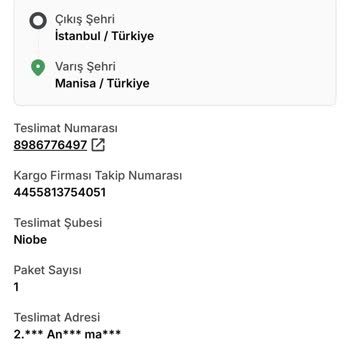 Kayıp Kargo: Aras Kargo'nun Teslimat Sorunu