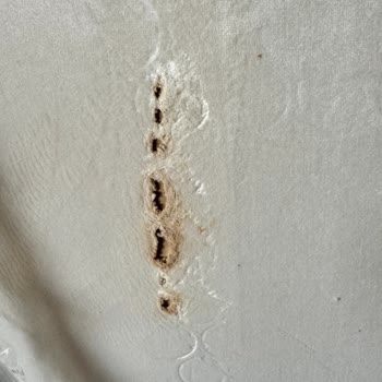 Enza Home Yanık Ve Defolu Ürün Mağduriyeti!