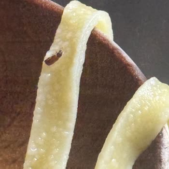 Barilla Makarna Paketlerinden Kurt Ve Böcek Çıktı!