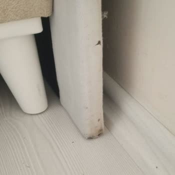 Ahs Mobilya Ve Halı Mobilya Teslimatında Sorun Ve İlgisizlik