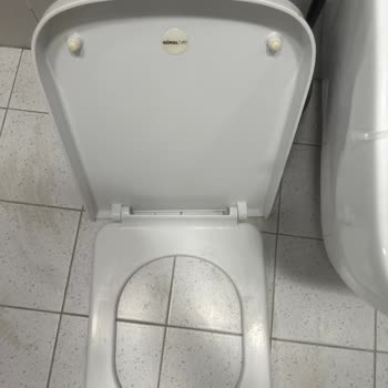 Güral Vit Klozet Kapağı Menteşesi Yedek Parça Sorunu