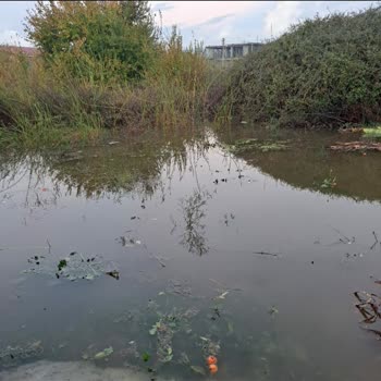 Dalaman'da 10 Yıllık Bekleyiş: Su Baskınına Karşı Çaresiz Kalan Mahalle Sakinlerinin Feryadı