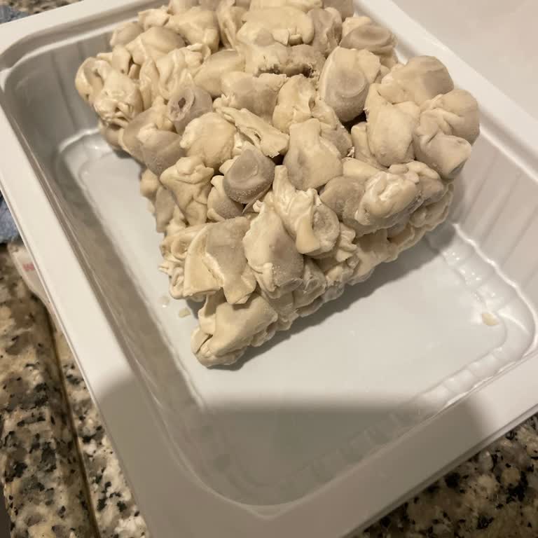 Donmuş Mantı Kabusu: Güvenli Olmayan Ürün Ve Müşteri Hizmetleri Eksikliği