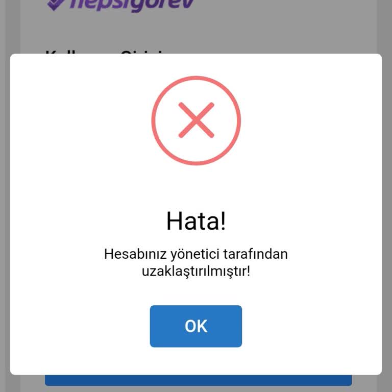 Hepsigorev.com Hesap Askıya Alınma Sorunu Ve Memnuniyetsizlik!