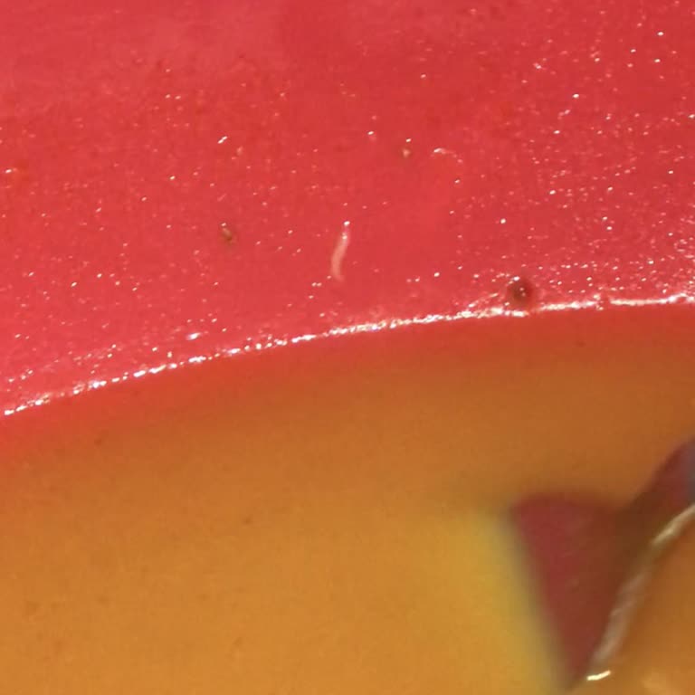 Noodle İçinden Kurt Çıktı: Midem Bulandı