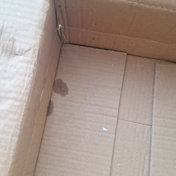 Trendyol'dan Aldığım Ürün Buhar Vermiyor Ve Islak Geldi