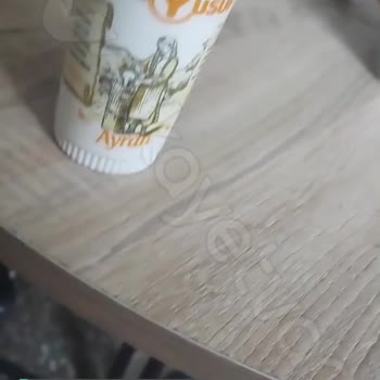Köfteci Yusuf Ayranın Üstünde Çıkan Böcek