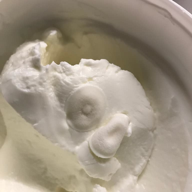 Küflü Yoğurt Şoku