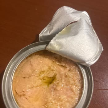Dardanel Ton Balığında Şüpheli Beyaz Noktalar