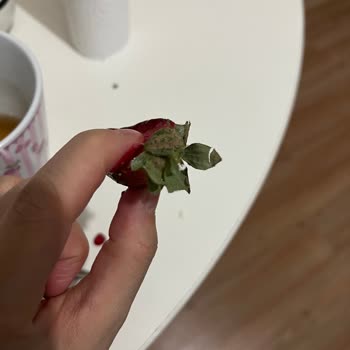 Üniversite Akça'da Doğum Günü Kabusu: Hizmet Ücreti Ve Hijyen Sorunları