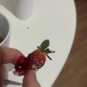 Üniversite Akça'da Doğum Günü Kabusu: Hizmet Ücreti Ve Hijyen Sorunları