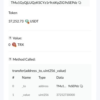 Kayıp Yatırımlar Ve Güven Sorunu