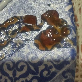 Heinz Barbekü Sos İçinden Çıkan Gizemli Parçalar