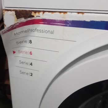 Bosch Çamaşır Makinesi Boya Ve Küflenme Sorunu