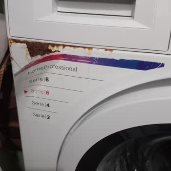 Bosch Çamaşır Makinesi Boya Ve Küflenme Sorunu