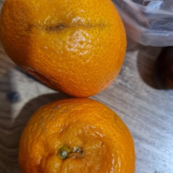 Getir Çarşı'dan Bozuk Ürün Ve Yetersiz İade Süreci