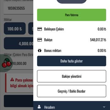 Belge Onayı Bekleyen Bahis Kazancı