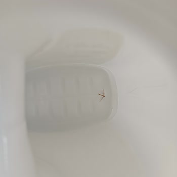 Bebeğimin Sağlığını Tehdit Eden Şok Edici Keşif