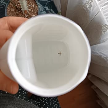 Bebeğimin Sağlığını Tehdit Eden Şok Edici Keşif